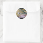Bachforelle Runder Aufkleber (Tasche)