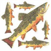 Bachforelle salvelinus fontinalis aufkleber (Vorderseite)