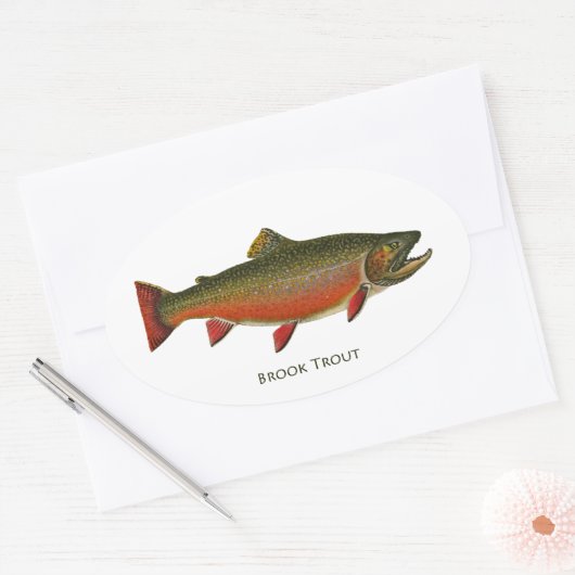 Bachforelle (Spawnphase) Ovaler Aufkleber (Umschlag)