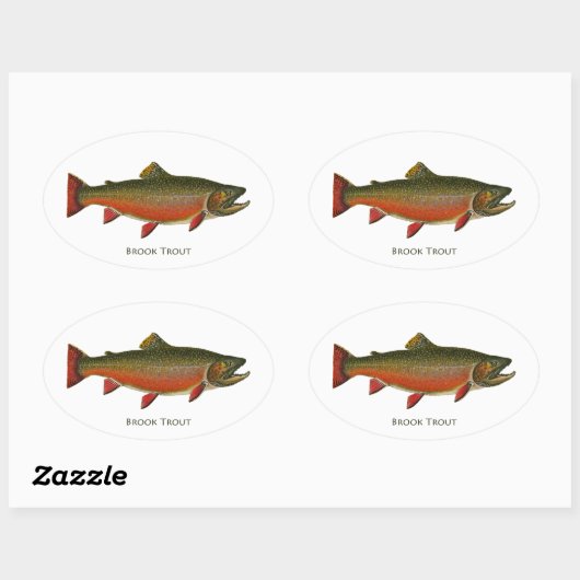 Bachforelle (Spawnphase) Ovaler Aufkleber (Blatt)