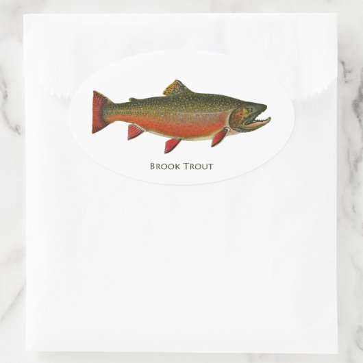 Bachforelle (Spawnphase) Ovaler Aufkleber (Tasche)