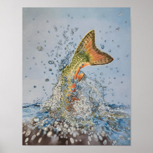 Bachforelle Spritzer Poster