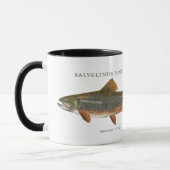 Bachforelle Tasse (Links)