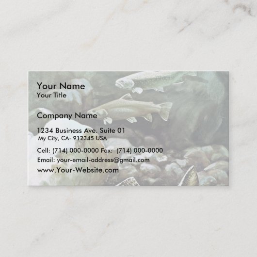 Bachforelle Visitenkarte (Vorderseite)