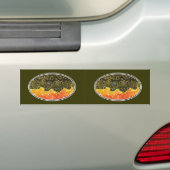 Bachforellen Autoaufkleber (Auf Auto)
