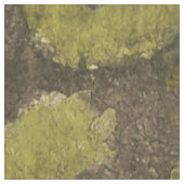 Bachforellen Stoff (Nahaufnahme)