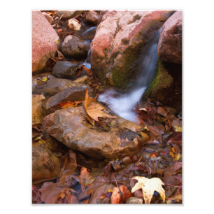 Bachlauf in Payson, Arizona Fotodruck