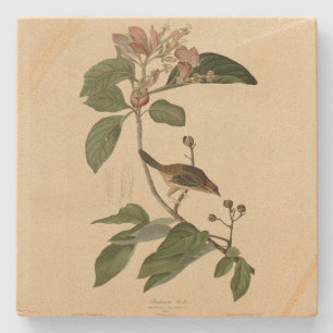 Bachman's Finch (Sparrow) Audubon Birds of America Steinuntersetzer