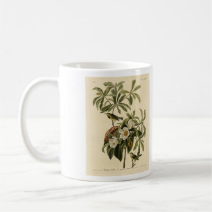 Bachman's Warbler von Audubons Vögeln von Amerika Kaffeetasse