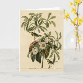 Bachman's Warbler von Audubons Vögeln von Amerika Karte (Gelbe Blume)