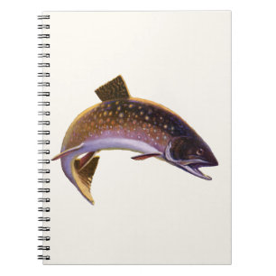 Bachsaibling Fisch, Vintage Sportfischen Fischer Notizblock
