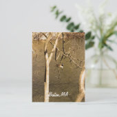 Back Bay Fens Wildlife Postkarte (Stehend Vorderseite)