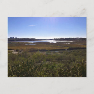 Back Bay, Newport Beach, Kalifornien Postkarte