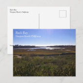 Back Bay, Newport Beach, Kalifornien Postkarte (Vorne/Hinten)