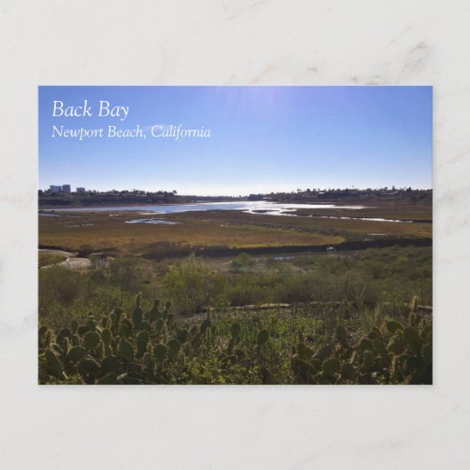 Back Bay, Newport Beach, Kalifornien Postkarte (Vorderseite)