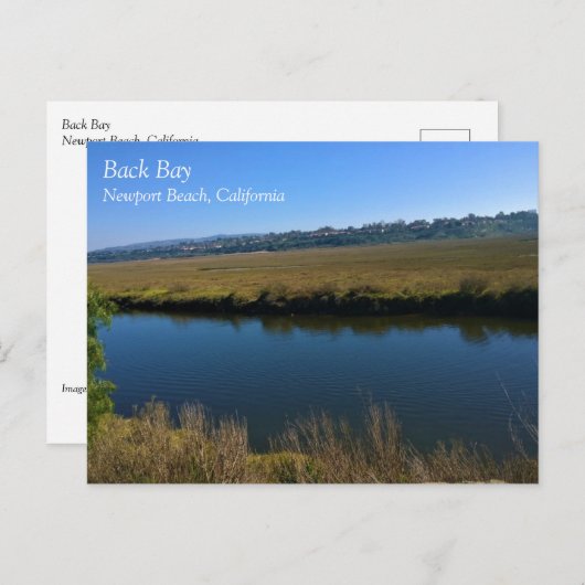 Back Bay, Newport Beach, Kalifornien Postkarte (Vorne/Hinten)