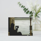 Back Porch Pickin Postkarte (Stehend Vorderseite)