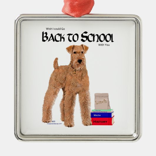 Back to School Silbernes Ornament (Vorne)