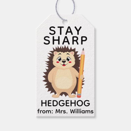Back to School Stay sharp hedgehog Cute Funny Pun Geschenkanhänger (Vorderseite)