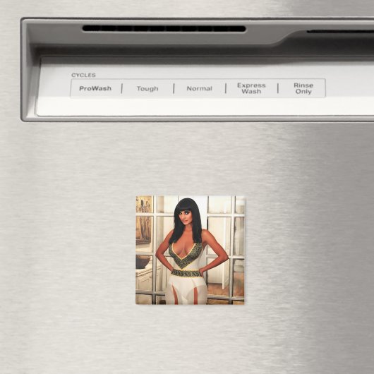 Back to That Special Place magnet (In Situ (Geschirrspüler))