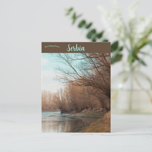 Backa Palanka Serbien Postkarte (Stehend Vorderseite)