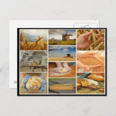 Backbrot Weizengebäck Teig Collage Postkarte (Vorne/Hinten)