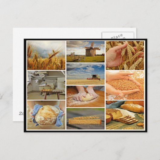 Backbrot Weizengebäck Teig Collage Postkarte (Vorne/Hinten)