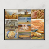 Backbrot Weizengebäck Teig Collage Postkarte (Vorderseite)