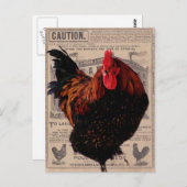 Bäckerspezialgeflügel Postkarte (Vorne/Hinten)