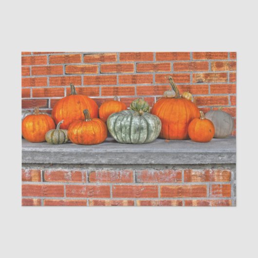 Background von Autumn Pumpkins Bright Orange Brick Seidenpapier (Vorderseite)