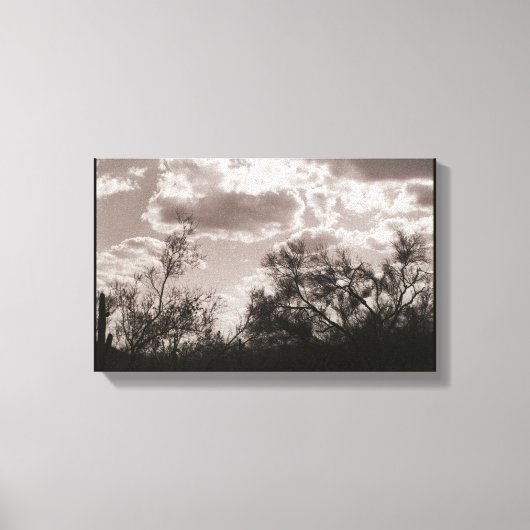 Backlight Leinwand Brush (AZ Sonoran Desert) (Vorderseite)