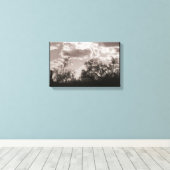 Backlight Leinwand Brush (AZ Sonoran Desert) (Insitu (Holzboden))