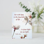 Backlit Cherry Blossoms 2 Postkarte (Stehend Vorderseite)