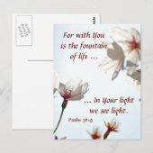 Backlit Cherry Blossoms 2 Postkarte (Vorne/Hinten)