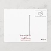 Backlit Cherry Blossoms 2 Postkarte (Rückseite)