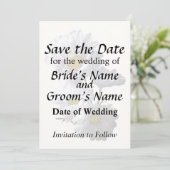 Backlit Daisies Save The Date (Stehend Vorderseite)
