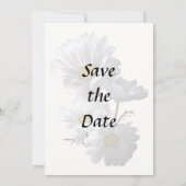 Backlit Daisies Save The Date (Rückseite)