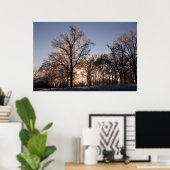 Backlit-Eisbäume Poster (Heimbüro)