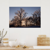 Backlit-Eisbäume Poster (Küche)