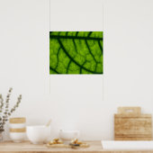 Backlit Green Leaf Poster (Küche)