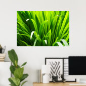 Backlit Leaves in Garden Poster (Heimbüro)