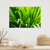 Backlit Leaves in Garden Poster (Küche)