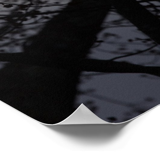 Backlit Tree Poster (Ecke)