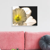 Backlit White Daffodil Blume Leinwanddruck (Insitu (Wohnzimmer))