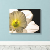 Backlit White Daffodil Blume Leinwanddruck (Insitu (Holzboden))