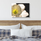 Backlit White Daffodil Blume Leinwanddruck (Insitu (Schlafzimmer))