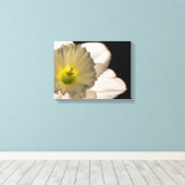Backlit White Daffodil Blume Leinwanddruck (Insitu (Holzboden))