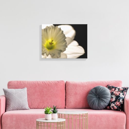 Backlit White Daffodil Blume Leinwanddruck (Insitu (Wohnzimmer))