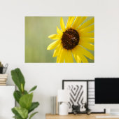 Backlit Wild Sonnenblumen Leinwand Poster (Heimbüro)