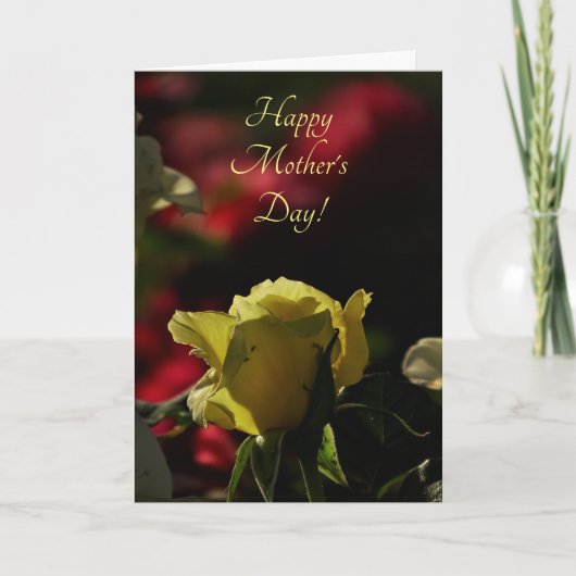 Backlit Yellow Rose Bud Eröffnungsfeier Muttertag Karte (Vorderseite)